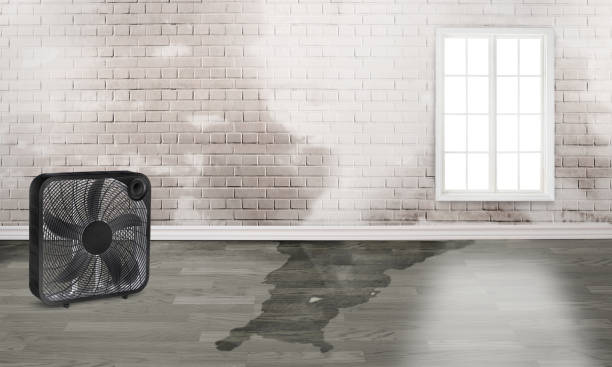 Water damage restoration process in Tilden, NE