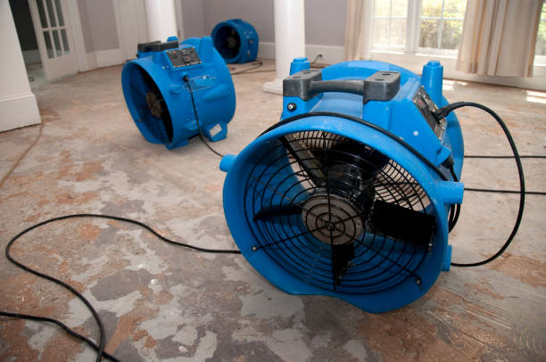 Best Water damage contractors near me  in Tilden, NE