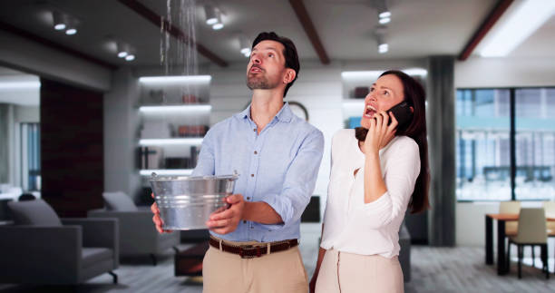 Best 24/7 water damage repair  in Tilden, NE